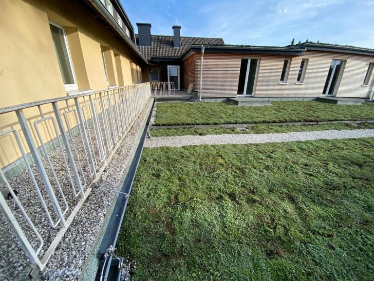 dachbegruenung-einfamilienhaus